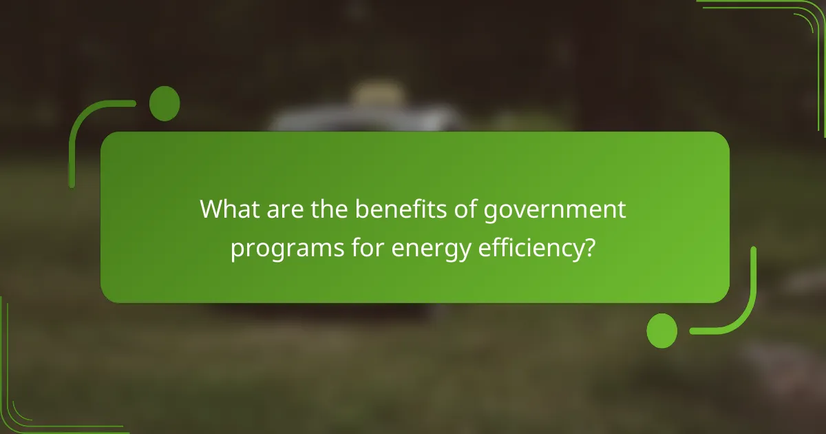 What are the benefits of government programs for energy efficiency?